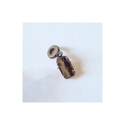 Charm Auto Convertible Barbie