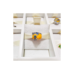 Charm Calabaza Cenicienta