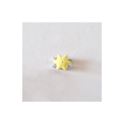 Charm Carroza Rosa y Amarillo