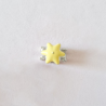 Charm Carroza Rosa y Amarillo