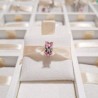 Charm Clip Mariposas Rosas
