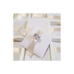 Charm Clip Mariposas Y Cristales
