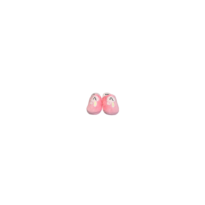 Pantunflas Cooky BTS