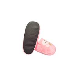 Pantunflas Cooky BTS