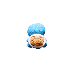 Peluche Squirtle Cute Pokemón